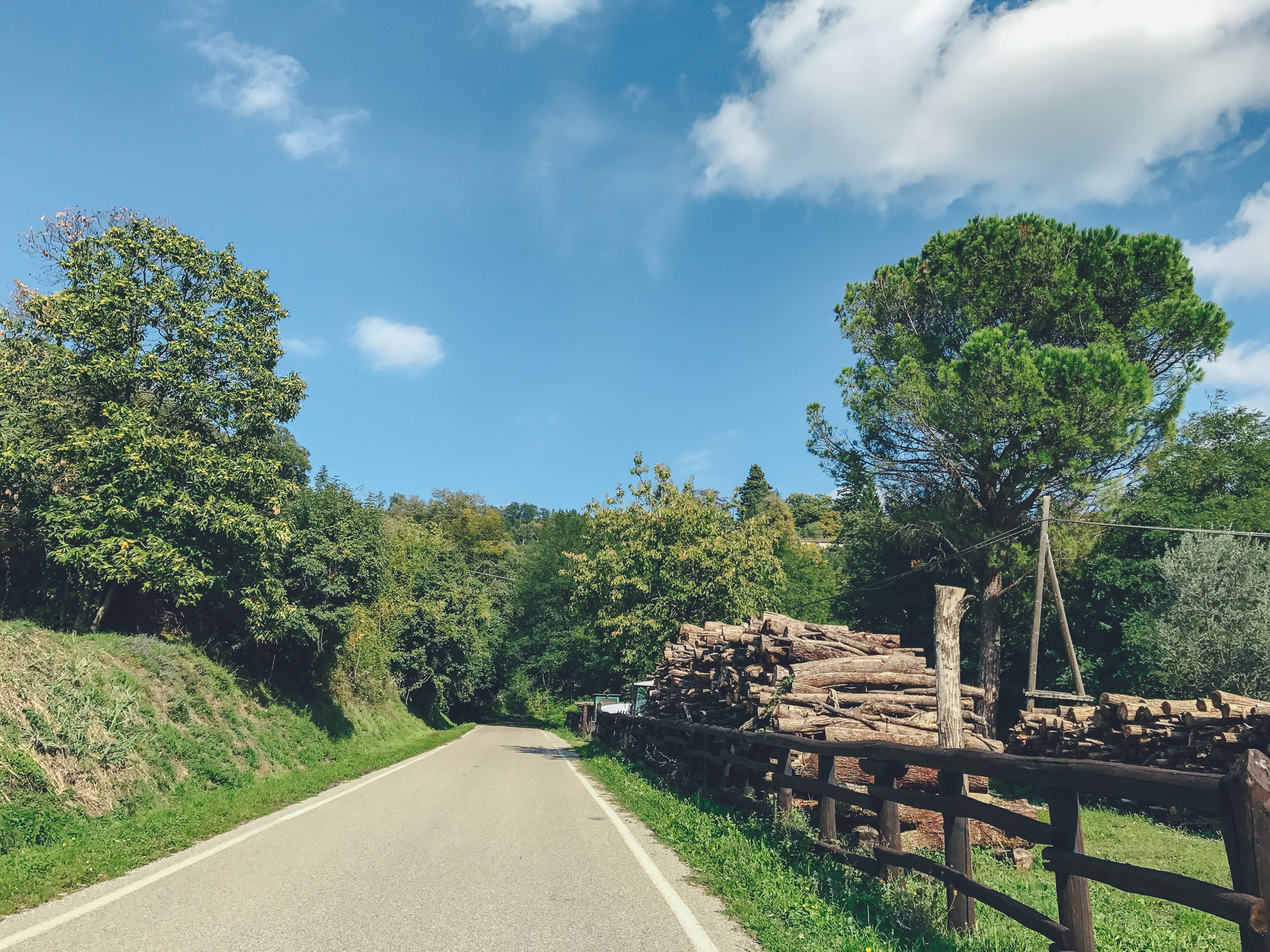 Castagno di Piteccio by CCT-SeeCity 2017 - 05.jpg