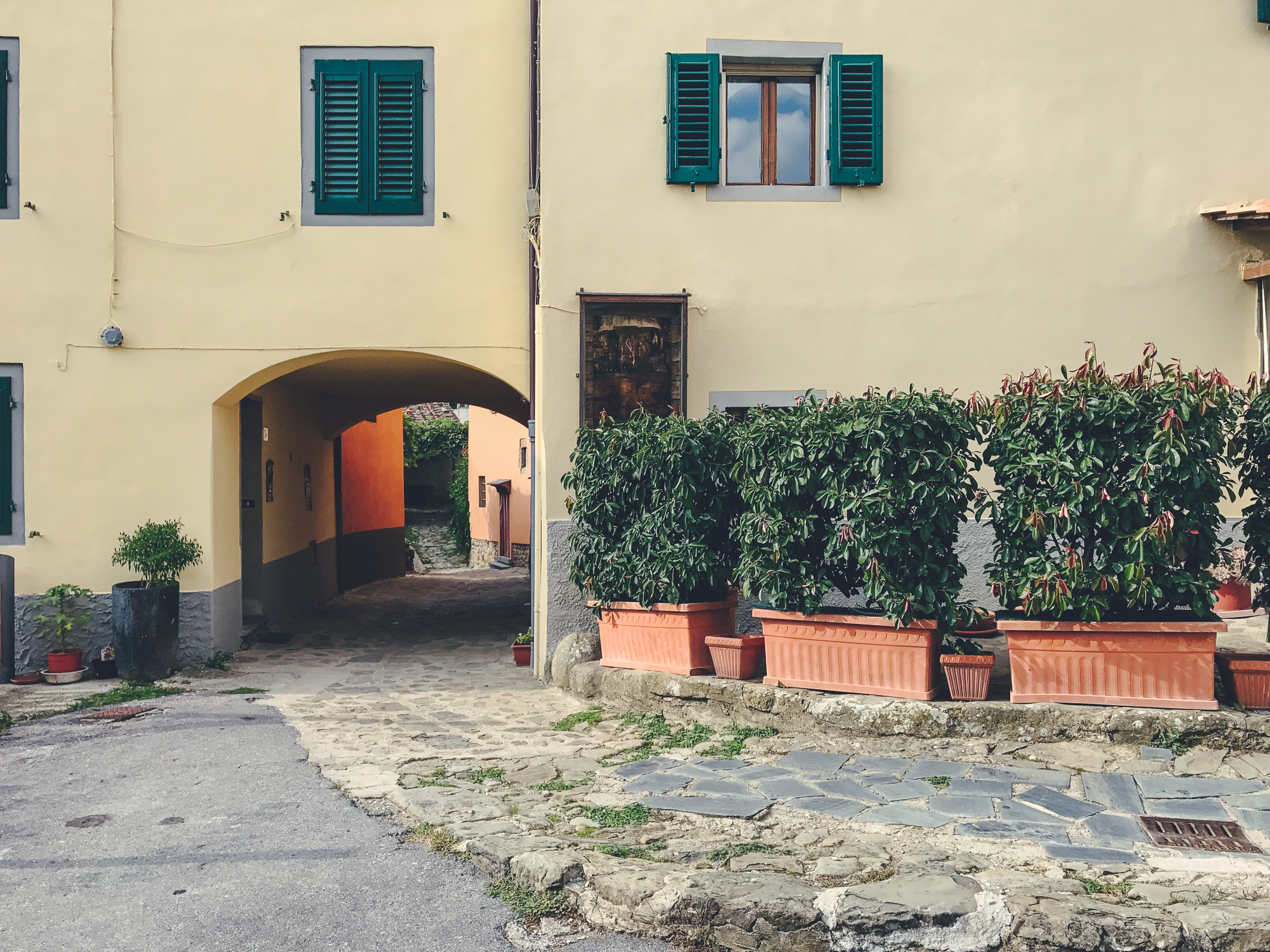 Castagno di Piteccio by CCT-SeeCity 2017 - 11.jpg