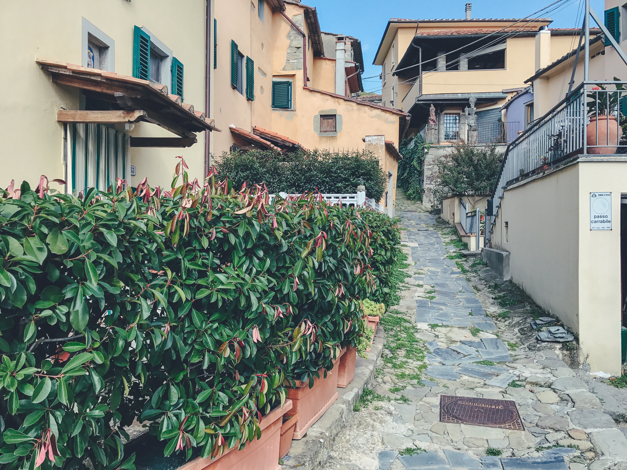 Castagno di Piteccio by CCT-SeeCity 2017 - 12.jpg