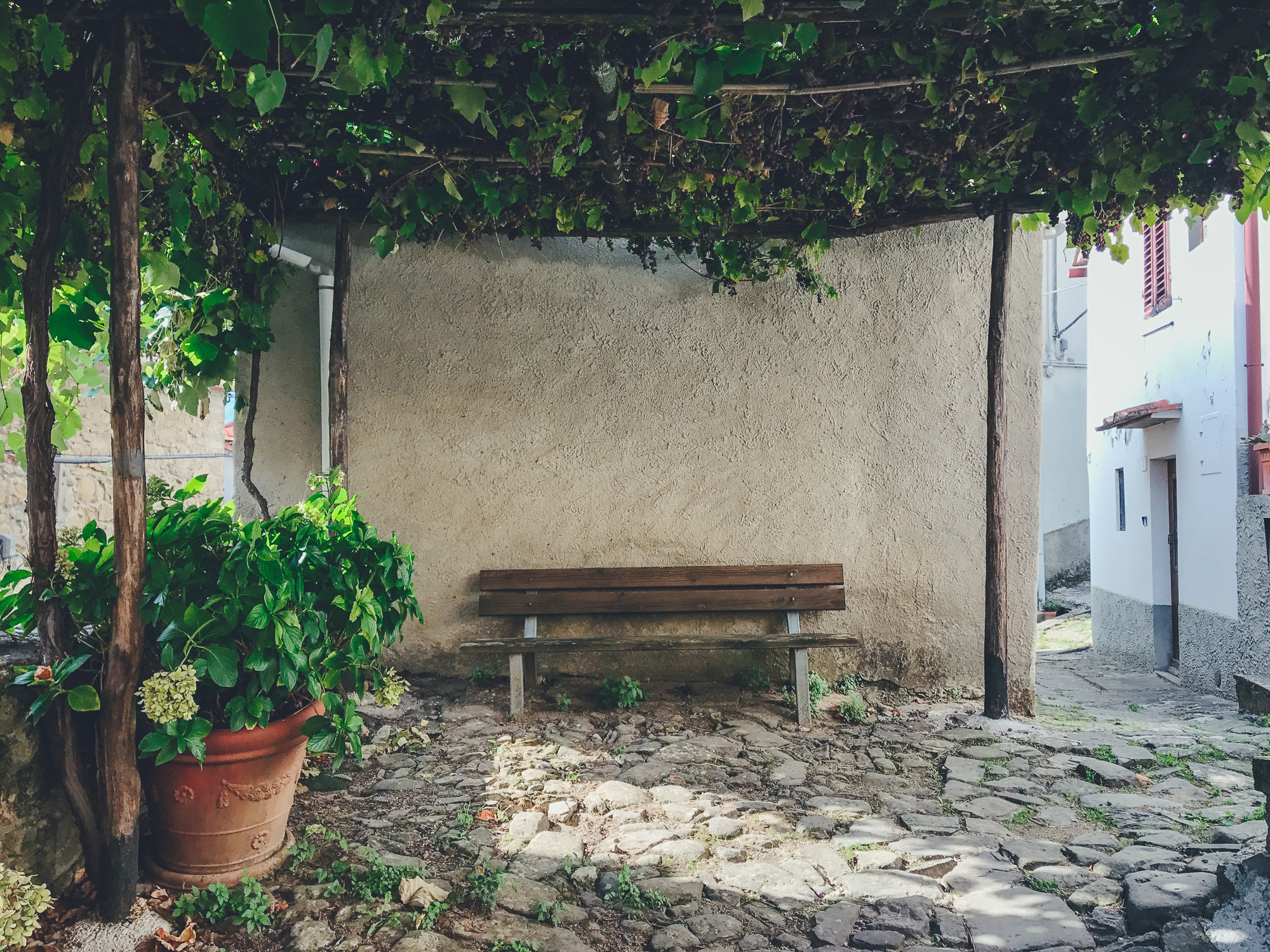 Castagno di Piteccio by CCT-SeeCity 2017 - 15.jpg