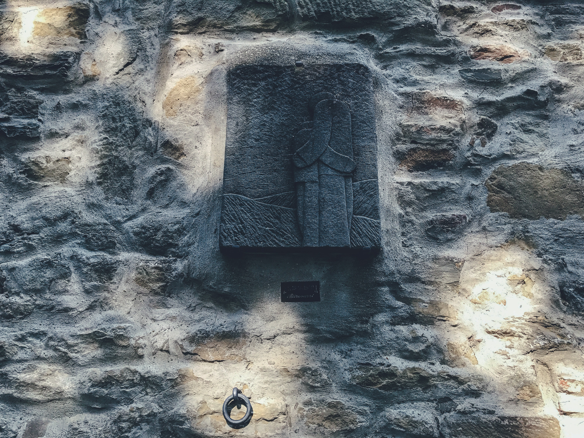 Castagno di Piteccio by CCT-SeeCity 2017 - 16.jpg