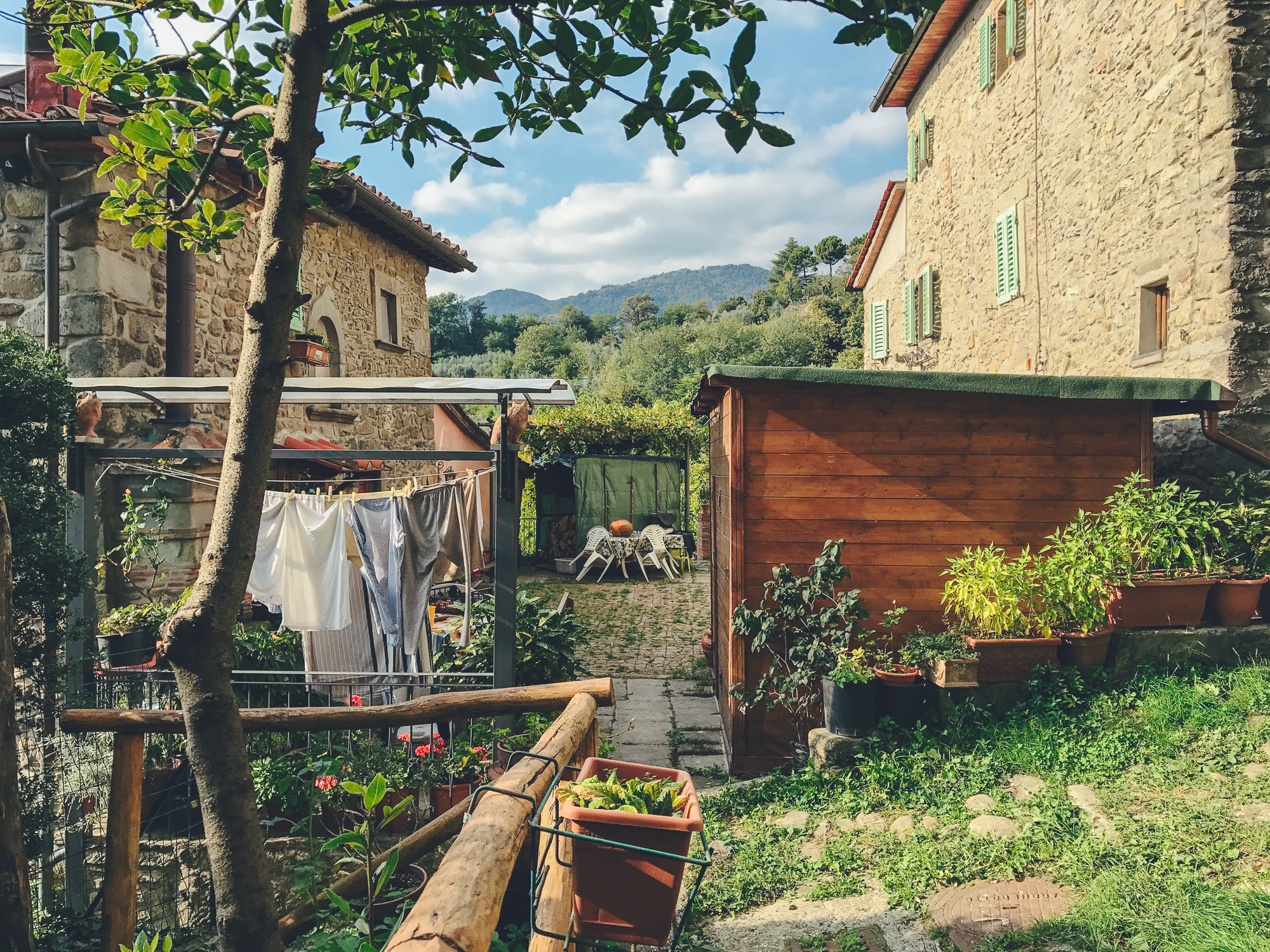 Castagno di Piteccio by CCT-SeeCity 2017 - 19.jpg