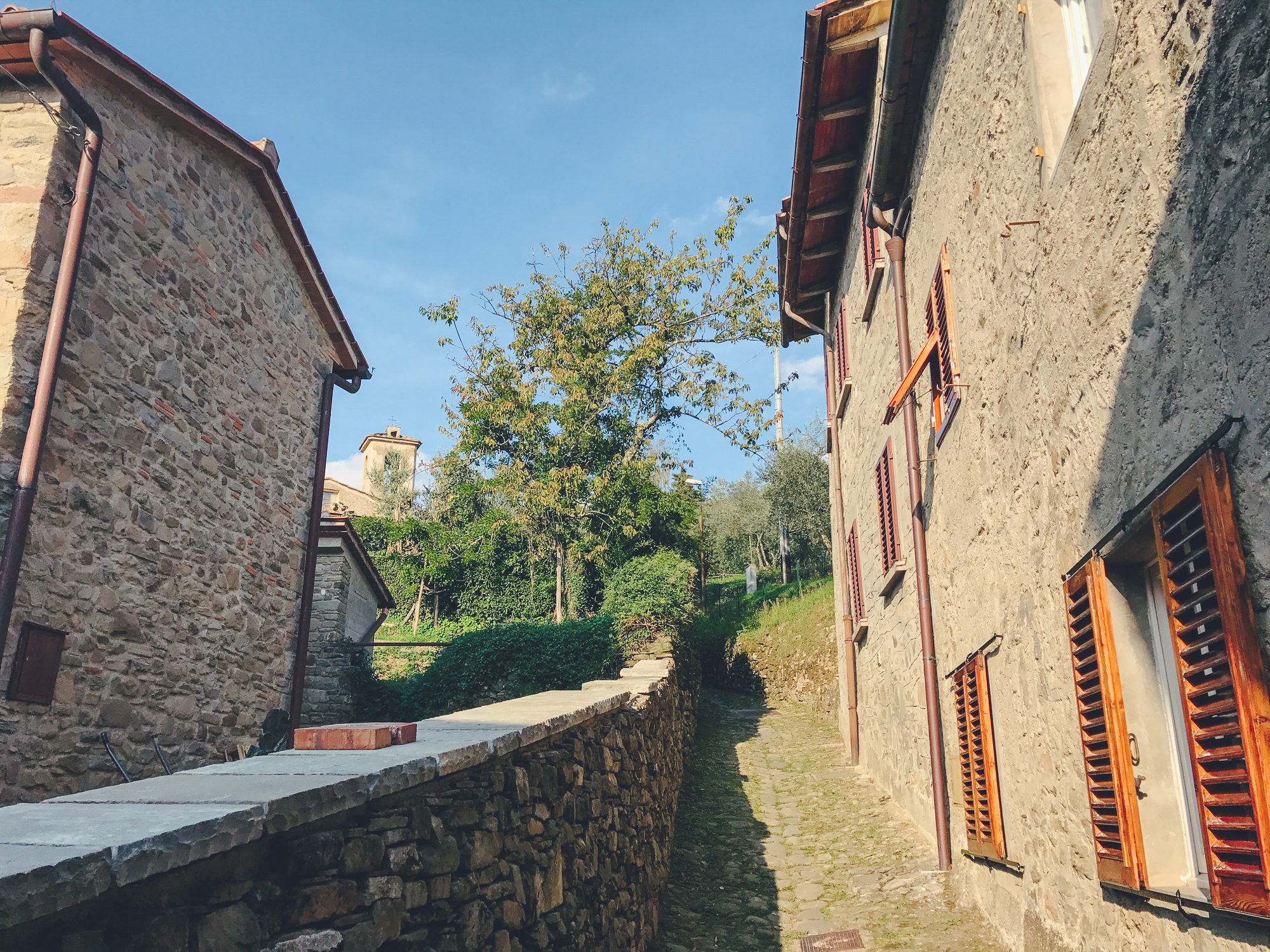 Castagno di Piteccio by CCT-SeeCity 2017 - 41.jpg