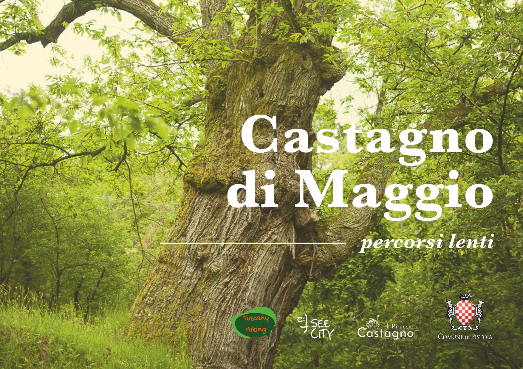 CastagnoDiMaggio_rettangolo_1.jpg