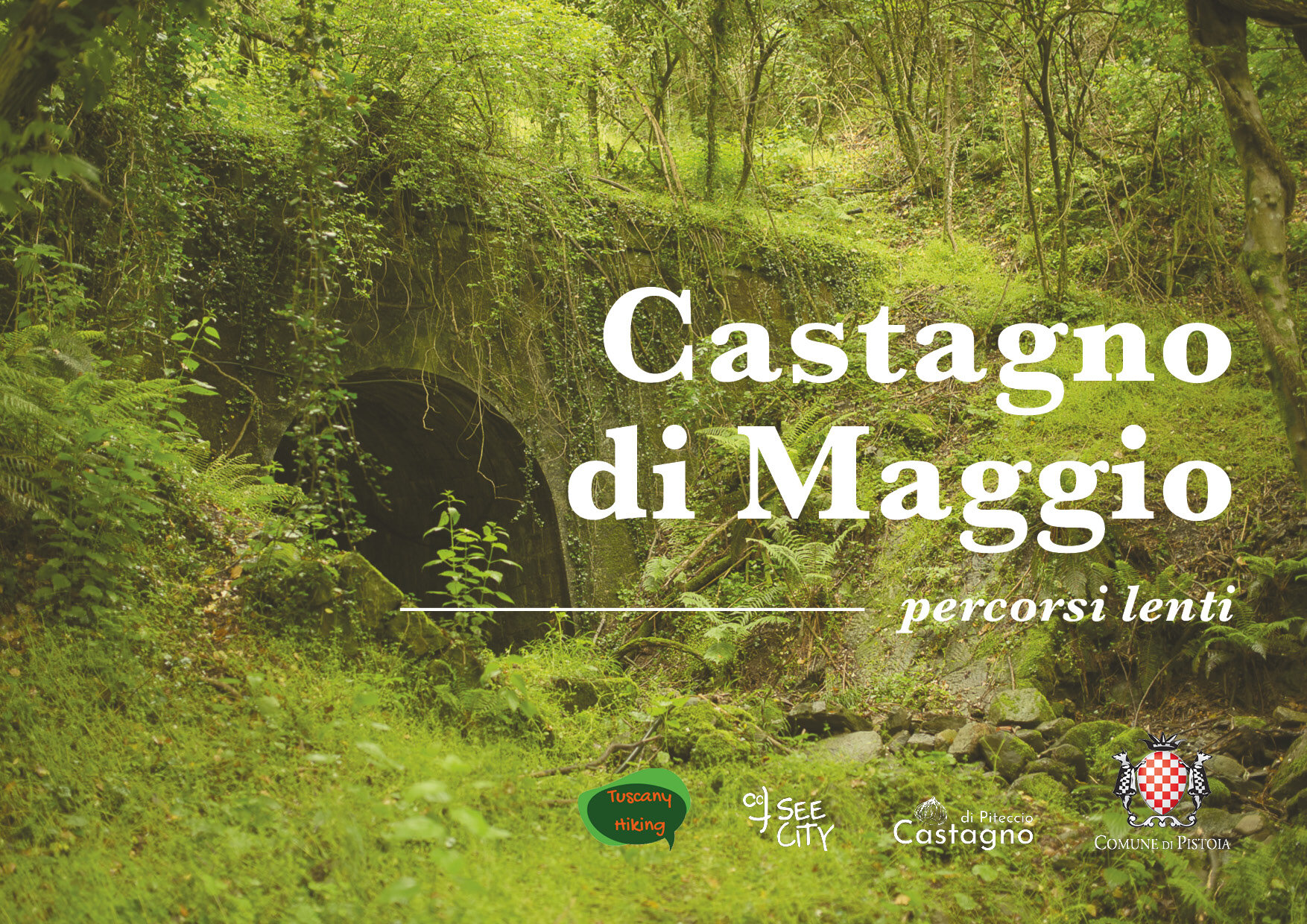 CastagnoDiMaggio_rettangolo_2.jpg