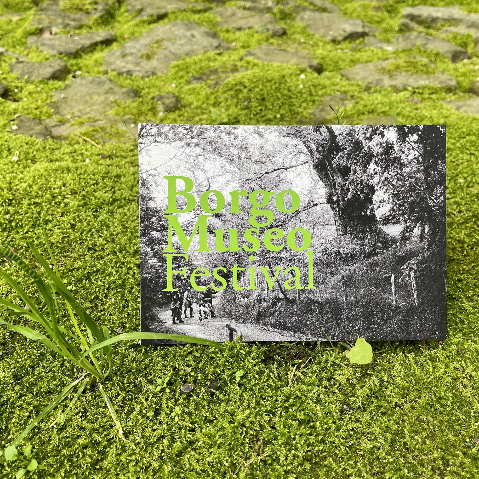 Borgo Museo Festival 2021 - Presentazione del programma @ Castello di Cireglio Parco Letterario