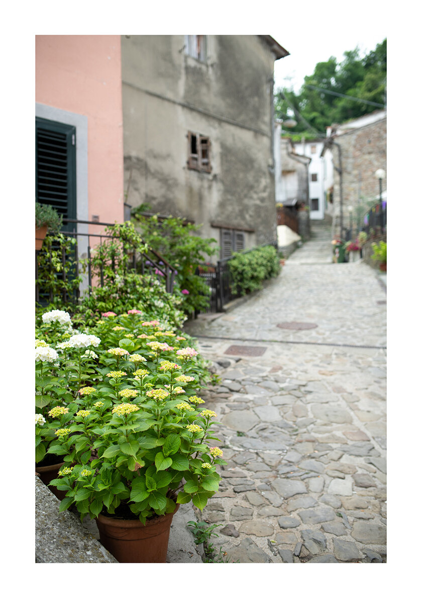 072 - Borgo Museo Festival 2021 - Presentazione.jpg