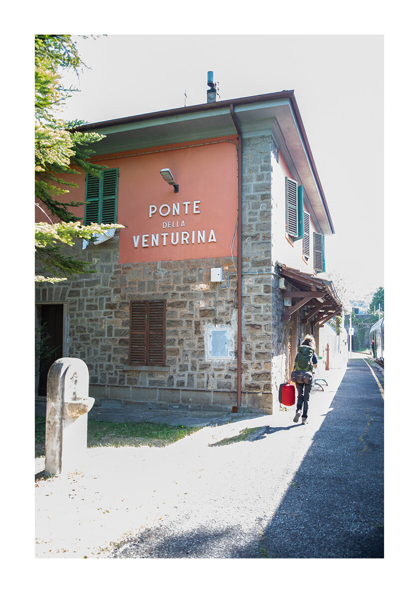 099 - Borgo Museo Festival 2021 - Il cammino del castagno.jpg