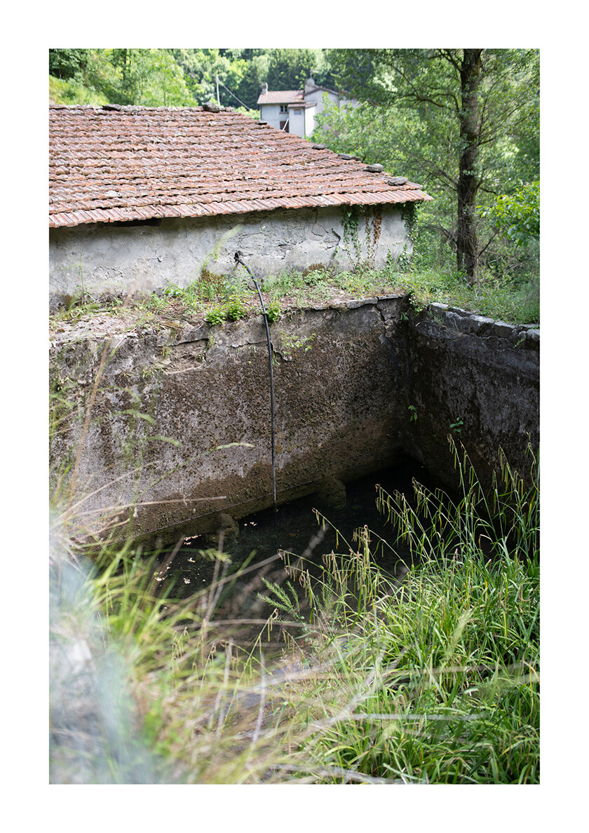 135 - Borgo Museo Festival 2021 - Il cammino del castagno.jpg