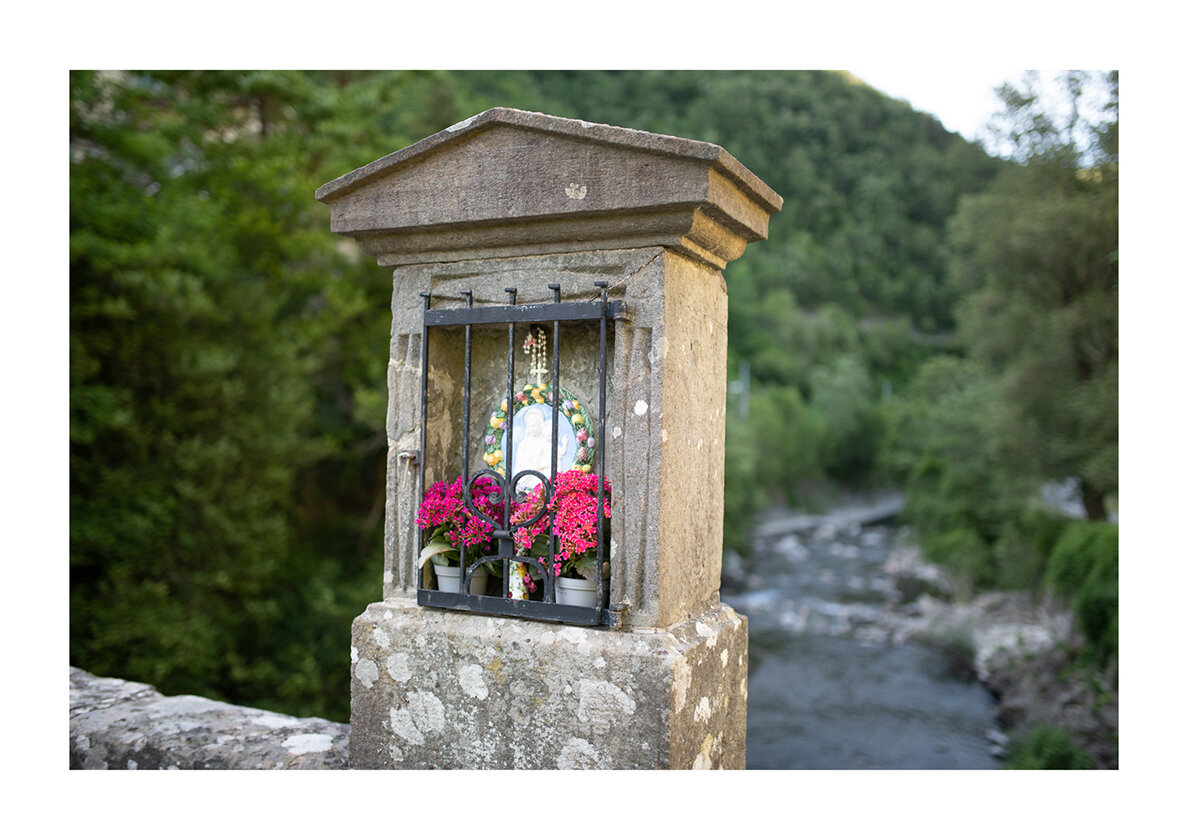 171 - Borgo Museo Festival 2021 - Il cammino del castagno.jpg