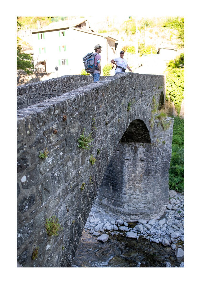 170 - Borgo Museo Festival 2021 - Il cammino del castagno.jpg