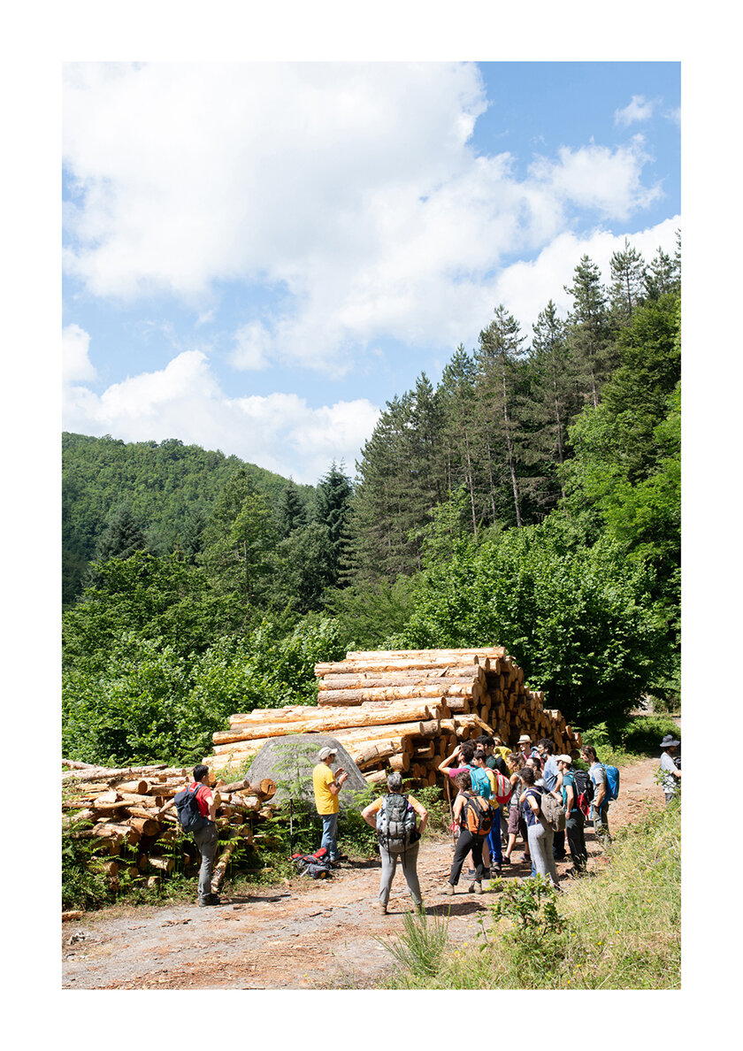 199 - Borgo Museo Festival 2021 - Il cammino del castagno.jpg