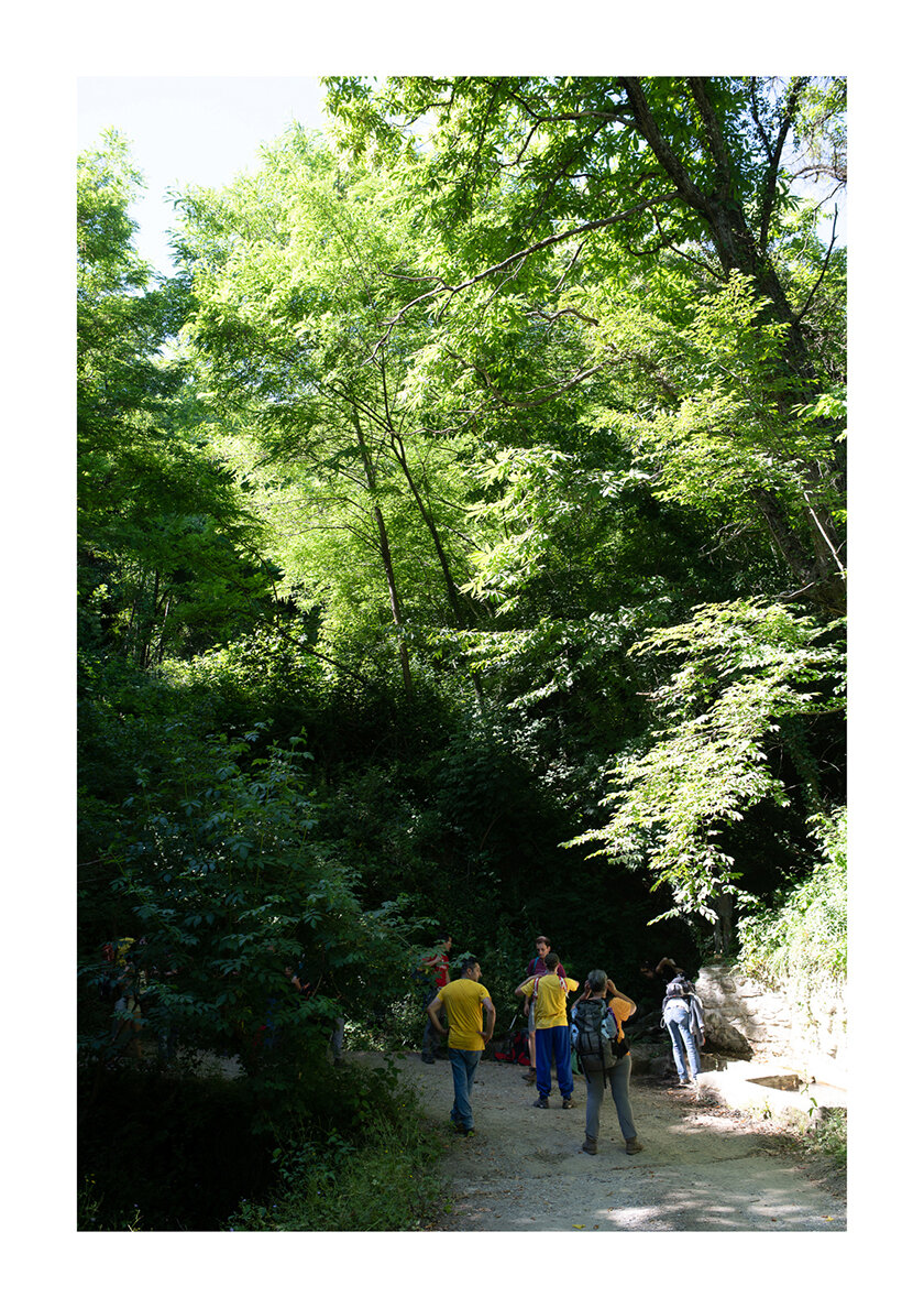 214 - Borgo Museo Festival 2021 - Il cammino del castagno.jpg