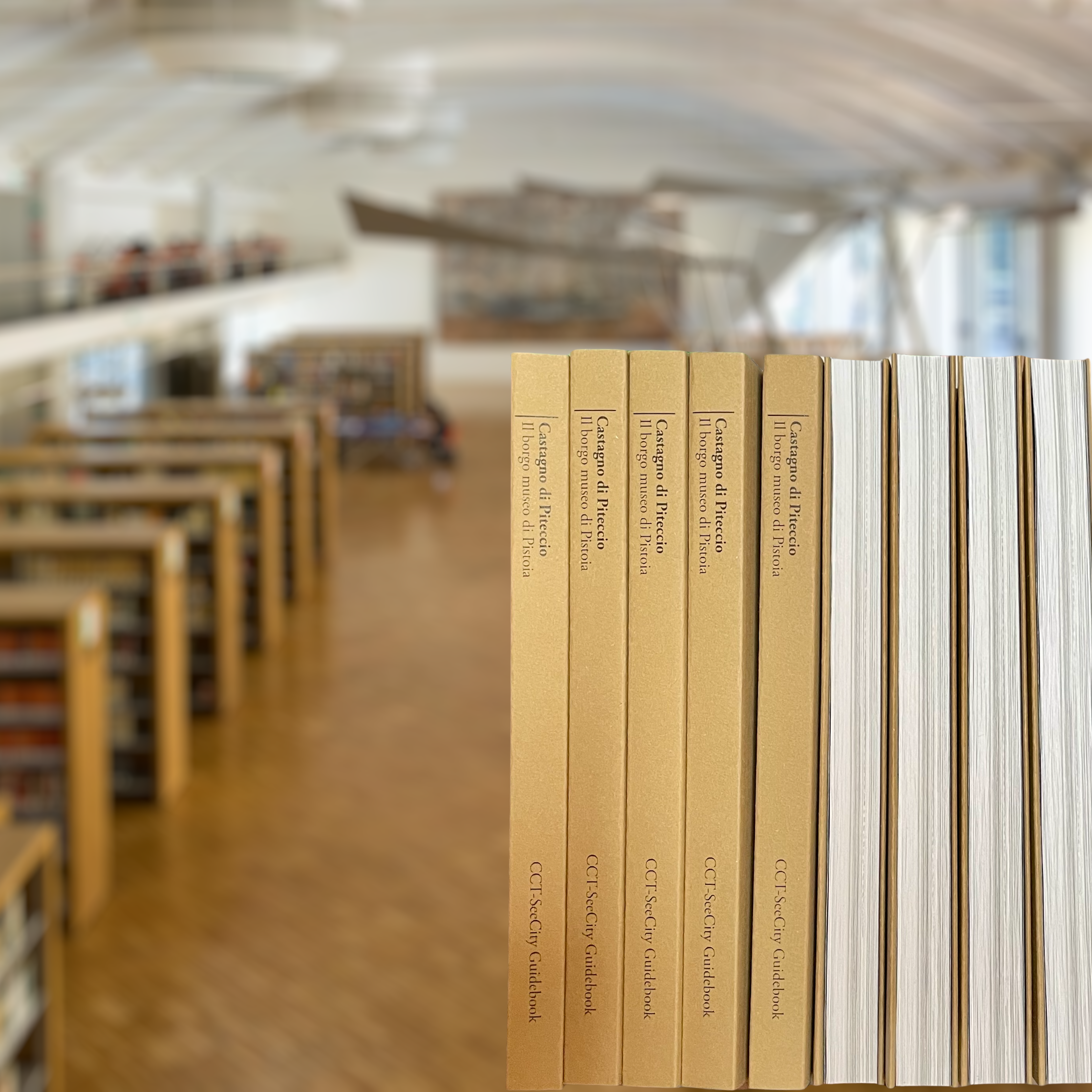 Presentazione del Libro Guida